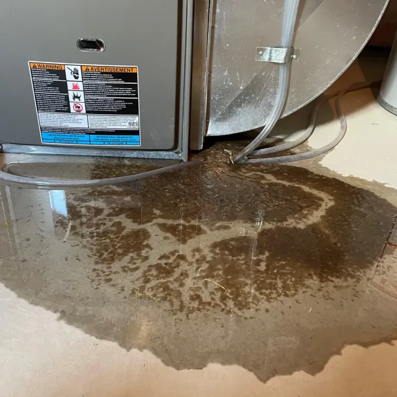 Appliance Leak Cleanup in Winfield, WV
