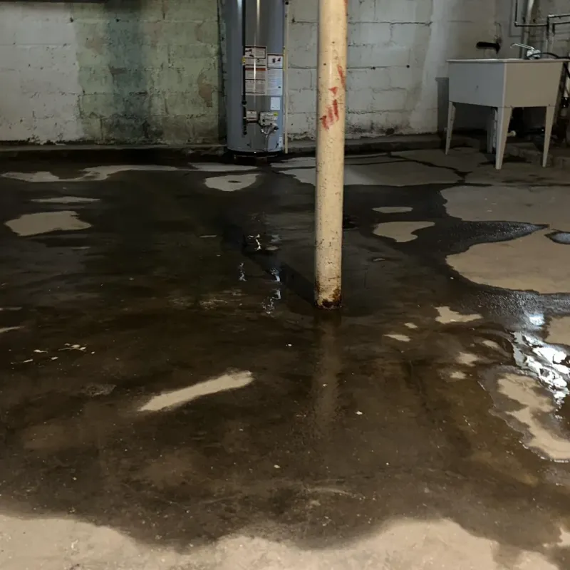 Emergency Water Extraction And Removal in Winfield, WV